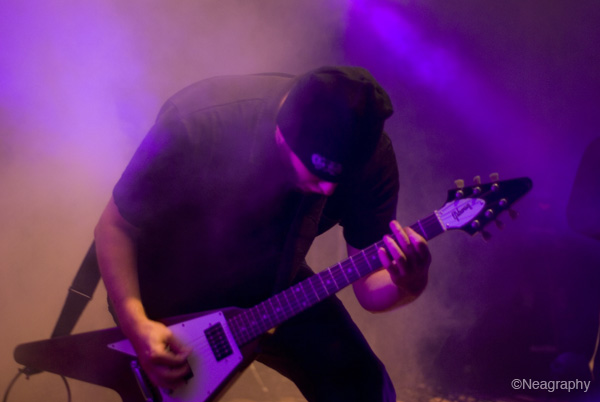 OmniumGatherum011